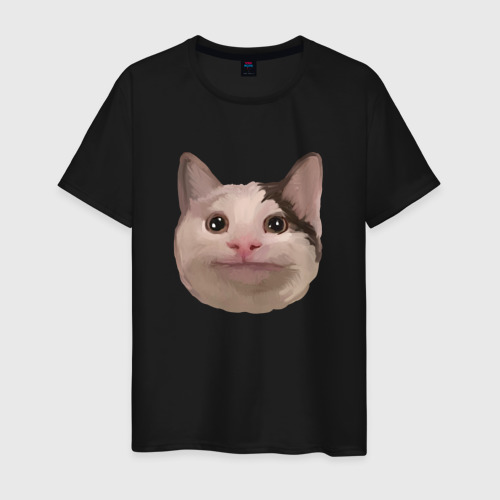 Мужская футболка с принтом Polite cat meme, вид спереди #2
