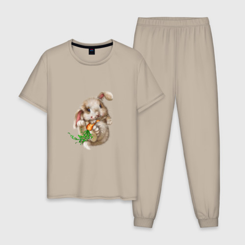Мужская пижама хлопок с принтом Маленький кролик с морковкой, вид спереди #2